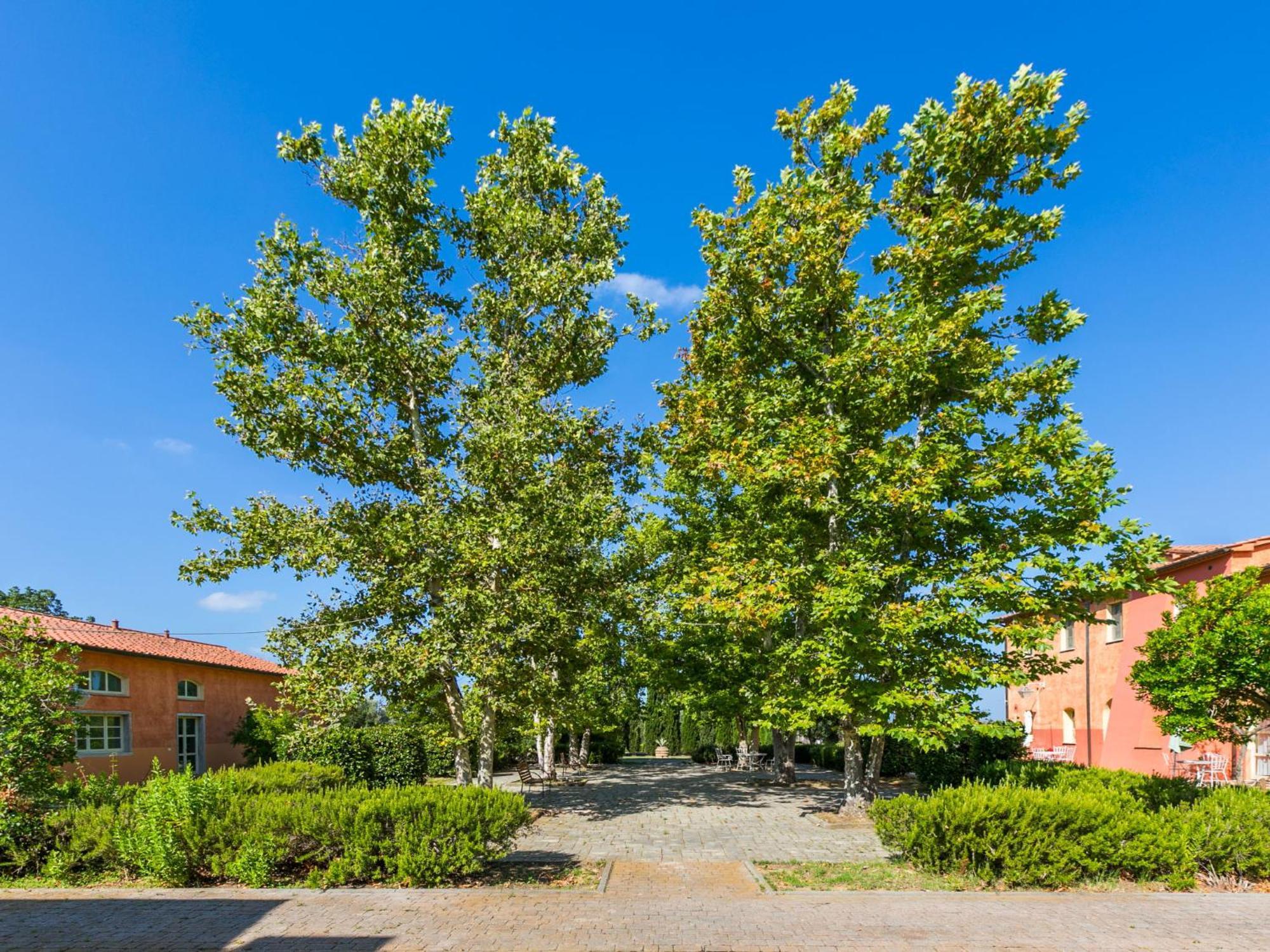 Apartment Quercia Alta By Interhome Le Case Dış mekan fotoğraf